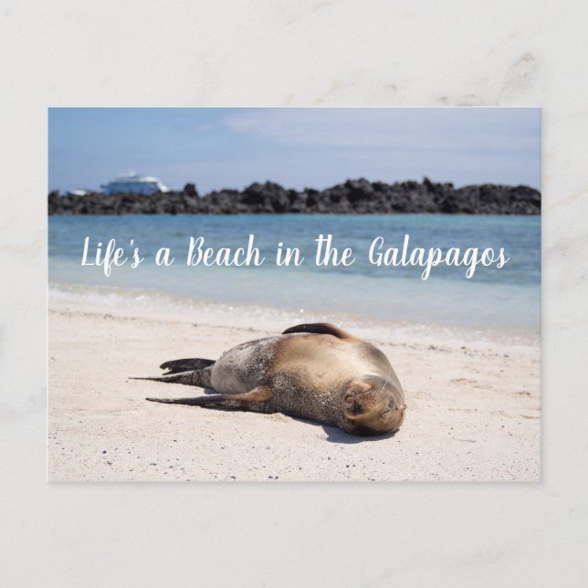 Life's a Beach in the Galapagos Postcard (Front)
