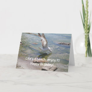 Life's a beach seagull birthday card