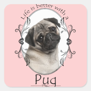 Life's Better Pug Stickers