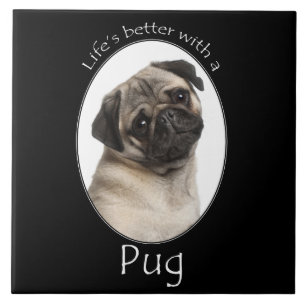 Life's Better Pug Tile