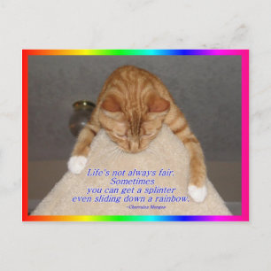 Life's Not Fair Postcard