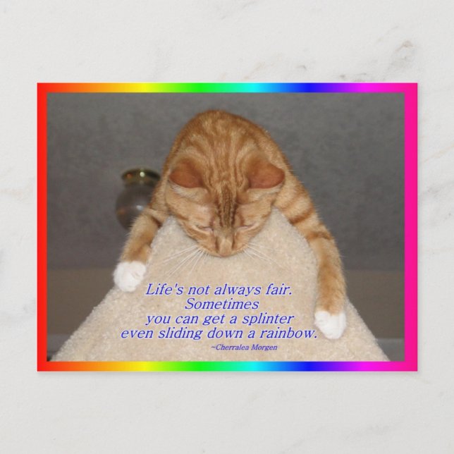 Life's Not Fair Postcard (Front)