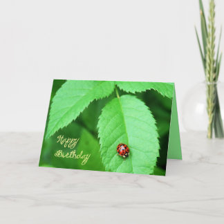 Life's Simple Pleasures-ladybug Holiday Card