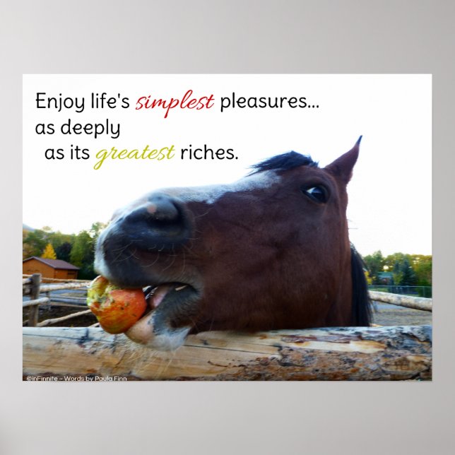 Life's Simplest Pleasures... Poster (Front)