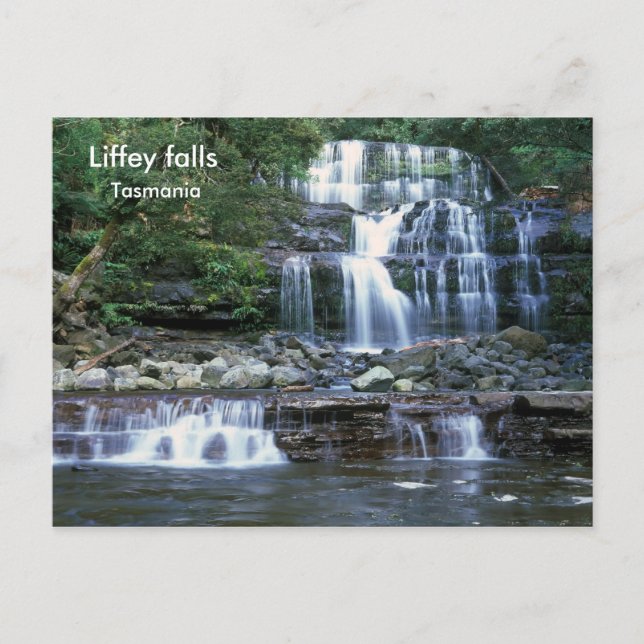 Liffey falls, Tasmania Postcard (Front)