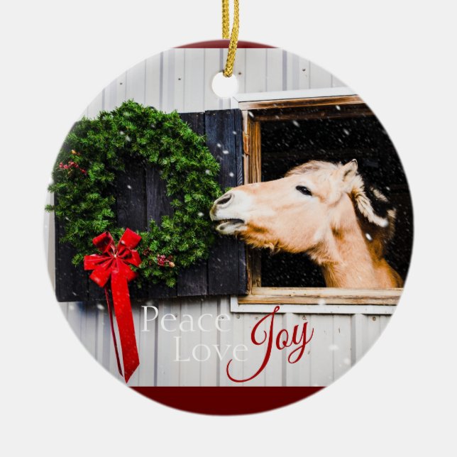 Lift Me Up! 2020 Holiday Ornament - Finn (Front)