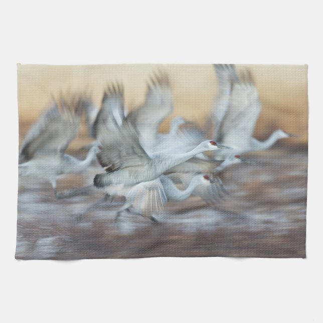 Lift off of  Sandhill  Cranes Tea Towel (Horizontal)