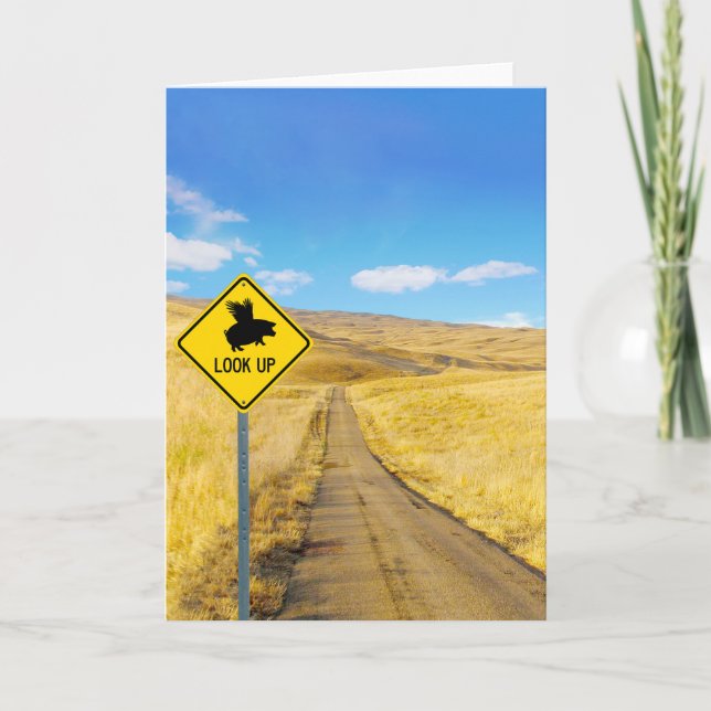 Lift Up Your Eyes For Pigs May Fly Card (Front)