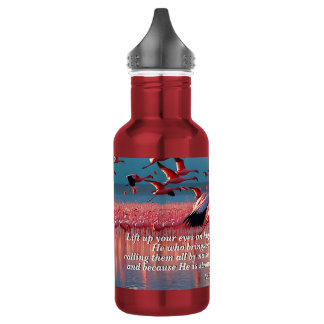 Lift Up Your Eyes on High, God & Creation Verse 532 Ml Water Bottle