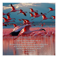 Lift Up Your Eyes on High, God & Creation Verse