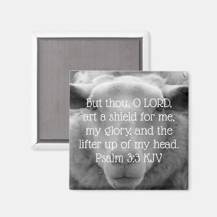 "Lifter up of My Head" Psalm 3:3 Sheep Background Magnet
