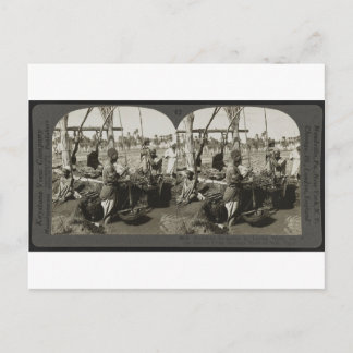 Lifting Water out of the Nile in Egypt circa 1928 Postcard