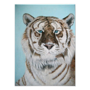Liger Photo Print