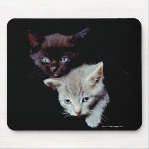 Light and Dark Kittens Mouse Pad