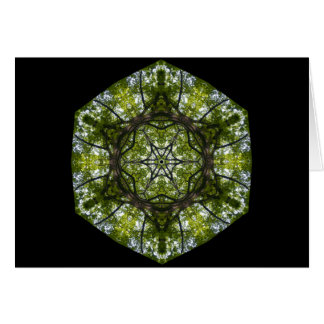 Light And Pattern In The Leaves