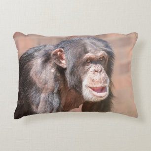 Light and Stillness – Chimpanzee Stance Decorative Cushion