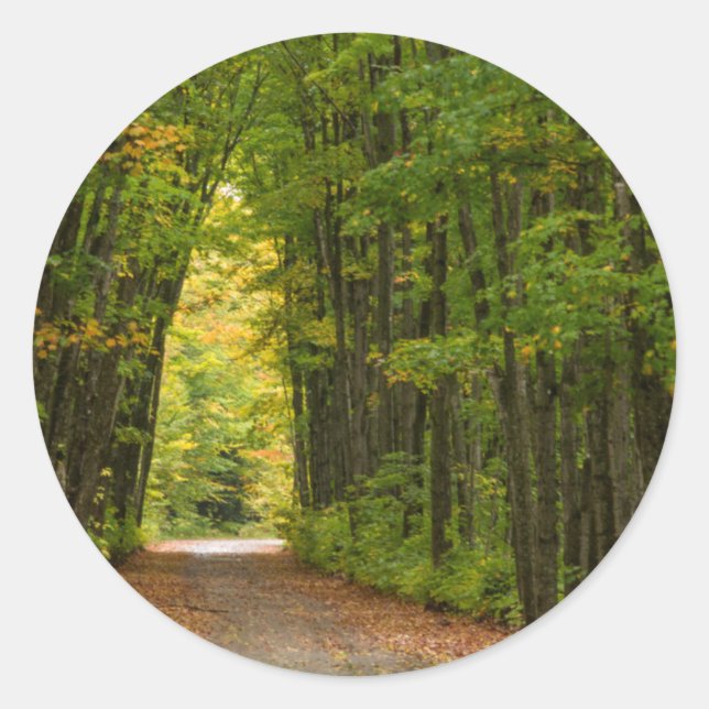 Light At The End Of A Tunnel Of Trees Classic Round Sticker (Front)
