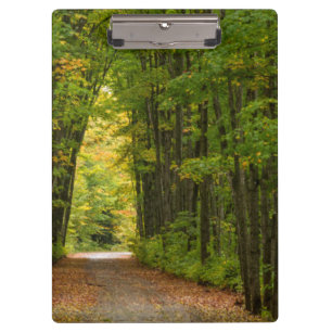 Light At The End Of A Tunnel Of Trees Clipboard