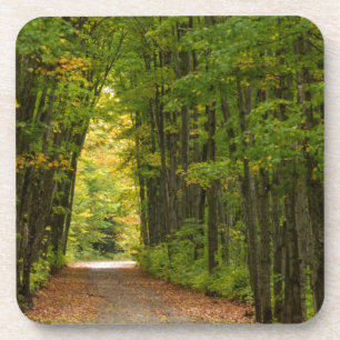 Light At The End Of A Tunnel Of Trees Coaster