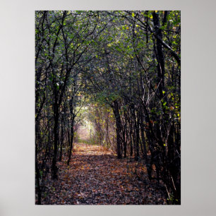 Light at the End of the Path Poster