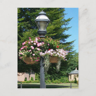 light & baskets postcard