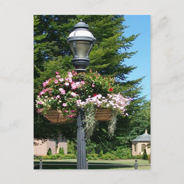 light & baskets postcard (Front)