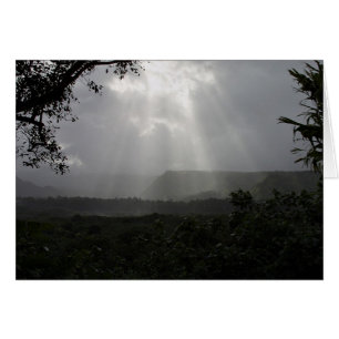 Light Beams