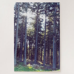 Light Between the Pines - Wild Nature Romania Jigsaw Puzzle