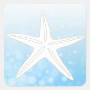 Light Blue and White Starfish Stickers