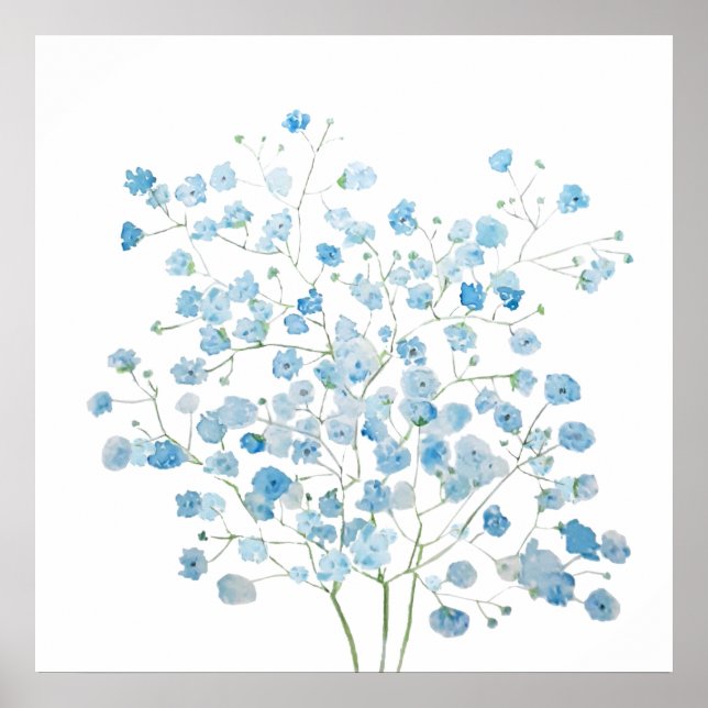 light blue Baby Breath Bouquet  gypsophila  Poster (Front)