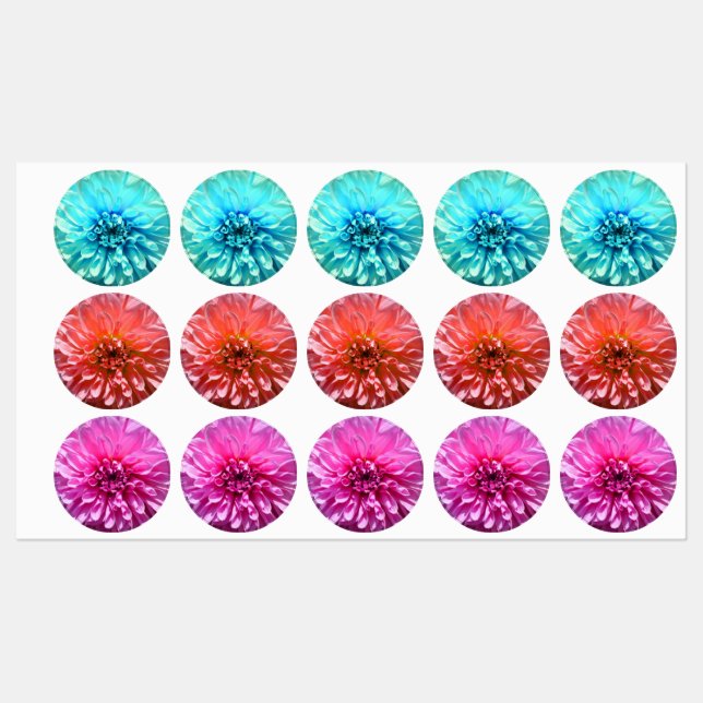 Light Blue Dahlia Flower (Sheet)
