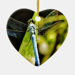 Light Blue Dragonfly Ceramic Ornament