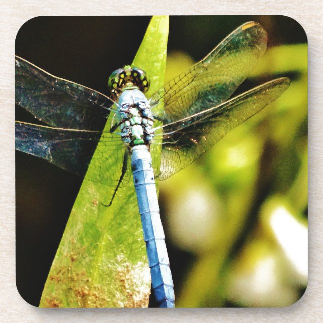 Light Blue Dragonfly Coaster (Front)
