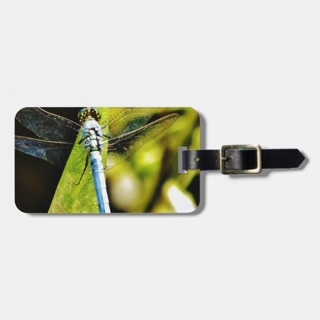 Light Blue Dragonfly Luggage Tag (Front Horizontal)