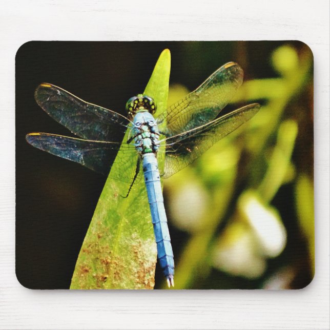 Light Blue Dragonfly Mouse Pad (Front)