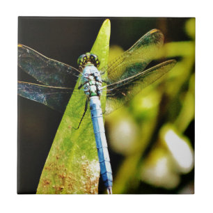 Light Blue Dragonfly Tile