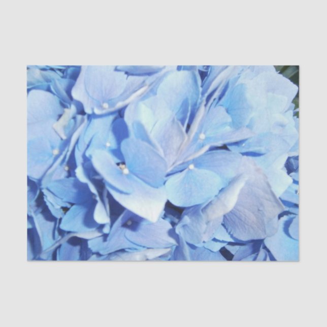 Light Blue Hydrangea Tissue Paper (Front)