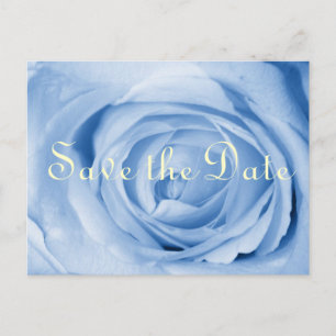 Light Blue Rose Save the Date Announcement Postcard