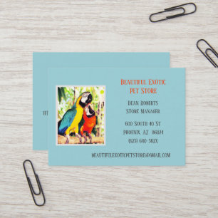 Light Blue Veterinary/ Animal Pet Store Parrots Business Card