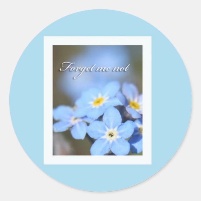 Light Blue with Forget Me Nots Classic Round Sticker (Front)
