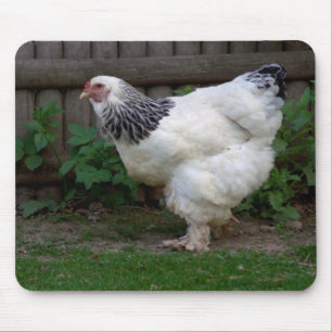 Light Brahma Hen Mouse Pad