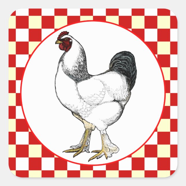 Light Brahma Rooster Chicken Restaurant Square Sticker (Front)