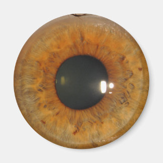 Light brown eye magnet