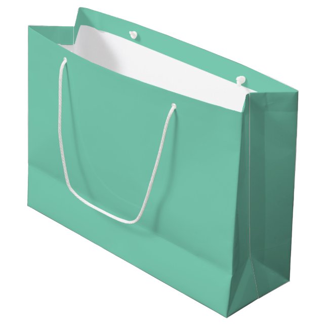 Light Coastal Green Solid Colour Large Gift Bag (Front Angled)