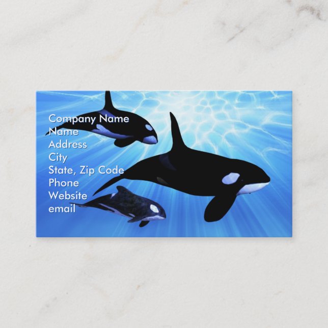 Light Echo Business Card (Front)