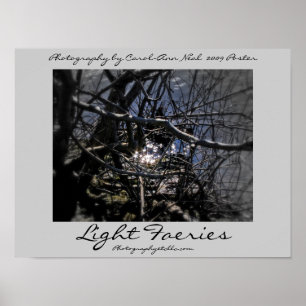 Light Faeries Poster 2009