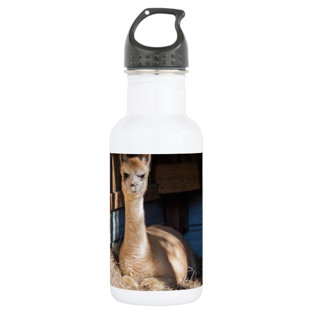 Light Fawn Alpaca 532 Ml Water Bottle (Front)