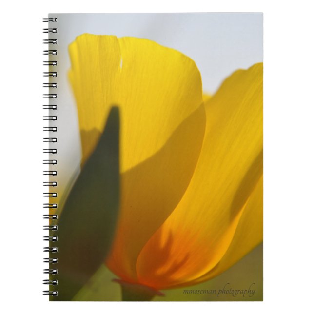 Light Filled Poppy Notebook (Front)