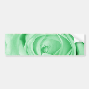 Light Green Bumper Sticker