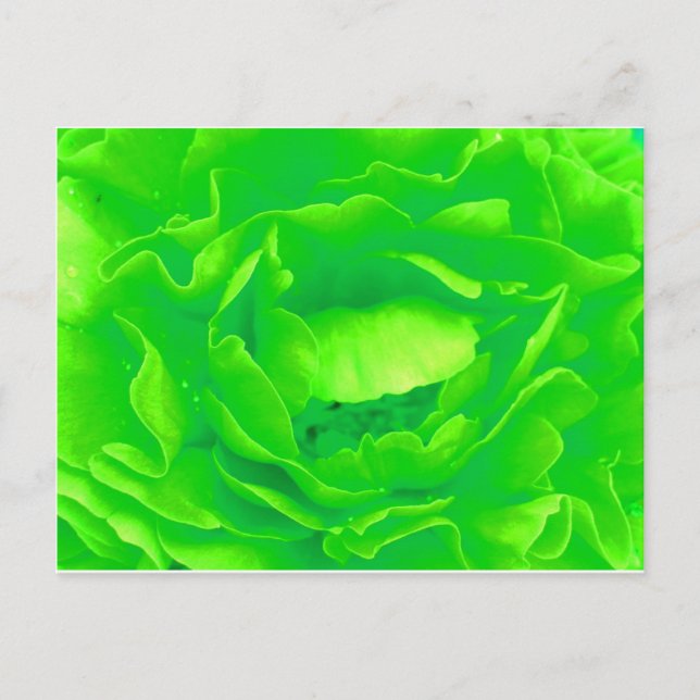 Light Green Rose Postcard- Customisable Postcard (Front)